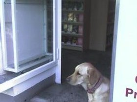 2006-09-08 Stay (c) Huw Price.jpg